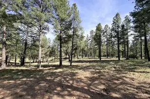 3698 S Woodland Hills Dr, Flagstaff, AZ 86005 - Photo 1