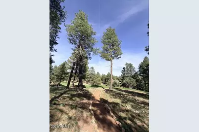 3698 S Woodland Hills Drive #383, Flagstaff, AZ 86005 - Photo 7