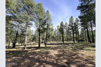 3698 S Woodland Hills Drive #383, Flagstaff, AZ 86005 - Photo 11