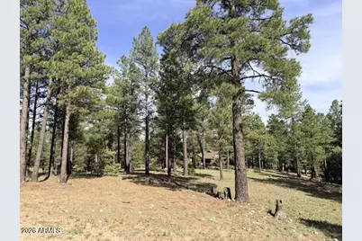3698 S Woodland Hills Drive #383, Flagstaff, AZ 86005 - Photo 13