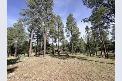 3698 S Woodland Hills Drive #383, Flagstaff, AZ 86005 - Photo 5
