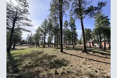 3698 S Woodland Hills Drive #383, Flagstaff, AZ 86005 - Photo 9