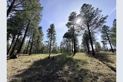 3698 S Woodland Hills Drive #383, Flagstaff, AZ 86005 - Photo 11