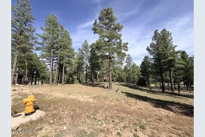 3698 S Woodland Hills Drive #383, Flagstaff, AZ 86005 - Photo 13
