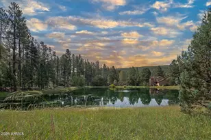 125 W Homestead Ln, Payson, AZ 85541 - Photo 53