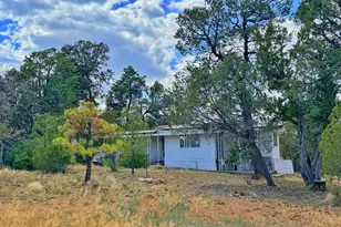 3405 Buckhorn Bend Rd, Overgaard, AZ 85933 - Photo 11