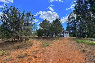 3405 Buckhorn Bend Rd, Overgaard, AZ 85933 - Photo 13
