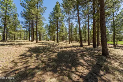 3663 S Woodland Hills Drive #365, Flagstaff, AZ 86005 - Photo 5