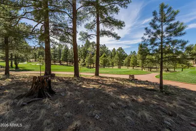 3663 S Woodland Hills Drive #365, Flagstaff, AZ 86005 - Photo 1
