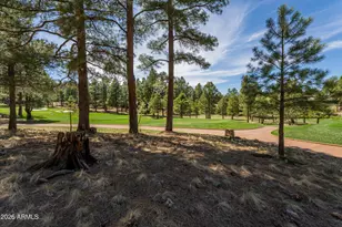 3663 S Woodland Hills Dr, Flagstaff, AZ 86005 - Photo 1