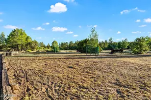 2868 Meadow Rd, Heber, AZ 85928 - Photo 51