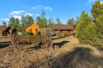 2868 Meadow Road, Heber, AZ 85928 - Photo 53