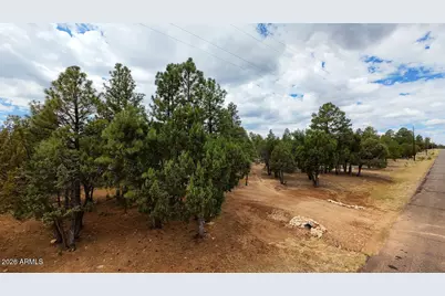 4935 Starlight Drive #152, Happy Jack, AZ 86024 - Photo 31