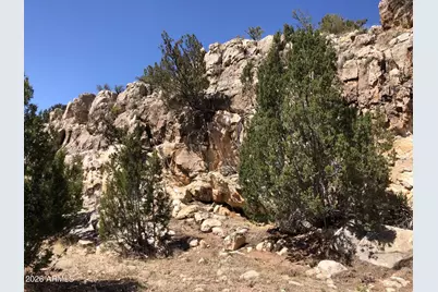 785 Twin Tanks Road #'-', Heber, AZ 85928 - Photo 3