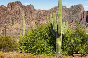 5455 E Mining Camp St, Apache Junction, AZ 85119 - Photo 31
