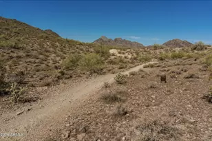 2335 E Shangri La Rd, Phoenix, AZ 85028 - Photo 45