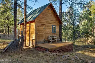 3307 Pine Cone Dr, Overgaard, AZ 85933 - Photo 35