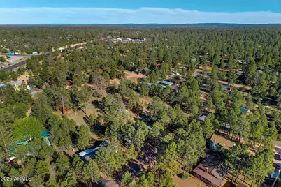 3307 Pine Cone Drive, Overgaard, AZ 85933 - Photo 41