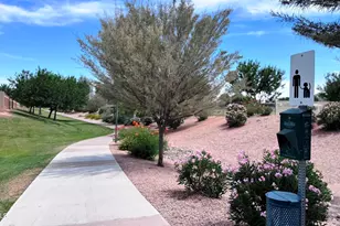 15454 W Cameron Dr, Surprise, AZ 85379 - Photo 55