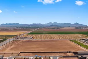 31334 N Cattail St, San Tan Valley, AZ 85143 - Photo 35