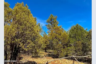 11 Co Rd 3262 5 Acres -- #-, Vernon, AZ 85940 - Photo 7