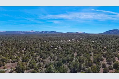 11 Co Rd 3262 5 Acres -- #-, Vernon, AZ 85940 - Photo 19
