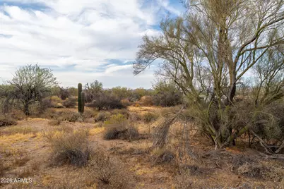 301Xx E Las Piedras Way #-, Scottsdale, AZ 85262 - Photo 9