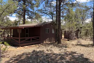 2943 Buckskin Rd, Overgaard, AZ 85933 - Photo 5