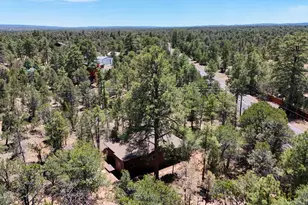 2943 Buckskin Rd, Overgaard, AZ 85933 - Photo 35