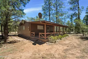 2943 Buckskin Rd, Overgaard, AZ 85933 - Photo 3