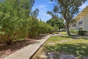 6125 E Indian School Rd, Scottsdale, AZ 85251 - Photo 21
