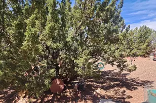 8564 Pueblo Ln, Snowflake, AZ 85937 - Photo 23
