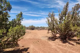 8564 Pueblo Ln, Snowflake, AZ 85937 - Photo 25