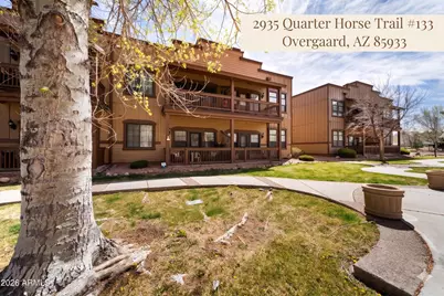 2395 Quarter Horse Trail #133, Overgaard, AZ 85933 - Photo 25