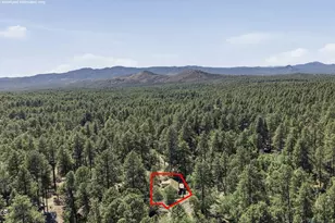 4510 S Senator Hwy, Groom Creek, AZ 86303 - Photo 47