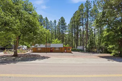 1389 E Christopher Creek Loop, Payson, AZ 85541 - Photo 3