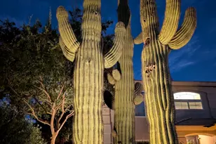 4621 E Bent Tree Dr, Cave Creek, AZ 85331 - Photo 5