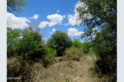 Tbd N Tulley Road #-, Hereford, AZ 85615 - Photo 7