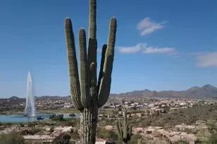 14837 N El Sobrante Ave, Fountain Hills, AZ 85268 - Photo 37