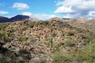 14837 N El Sobrante Ave, Fountain Hills, AZ 85268 - Photo 39