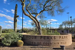 14837 N El Sobrante Ave, Fountain Hills, AZ 85268 - Photo 21