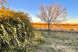 4757 E Dead Coyote Ln, Hereford, AZ 85615 - Photo 91