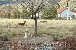 4757 E Dead Coyote Ln, Hereford, AZ 85615 - Photo 101