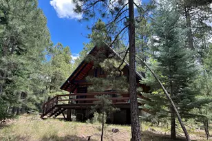 2716 Rim Loop, Forest Lakes, AZ 85931 - Photo 1