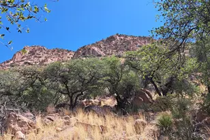 3157 W Hwy 80 St, Bisbee, AZ 85603 - Photo 19