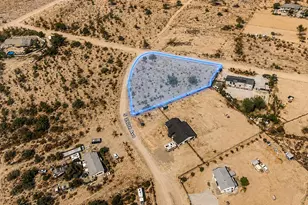 0 S 350th Ave, Rainbow Valley, AZ 85326 - Photo 3
