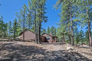 3215 Hopi Dr, Happy Jack, AZ 86024 - Photo 3