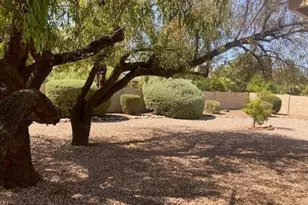25858 S New Town Dr, Sun Lakes, AZ 85248 - Photo 21