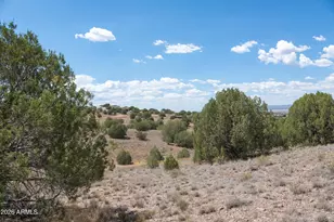 14Xx W Bison Hunt (No Address) Way, Chino Valley, AZ 86323 - Photo 1