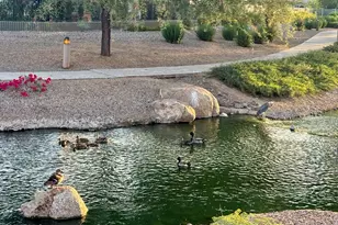 4601 S Renaissance Dr, Gilbert, AZ 85297 - Photo 21